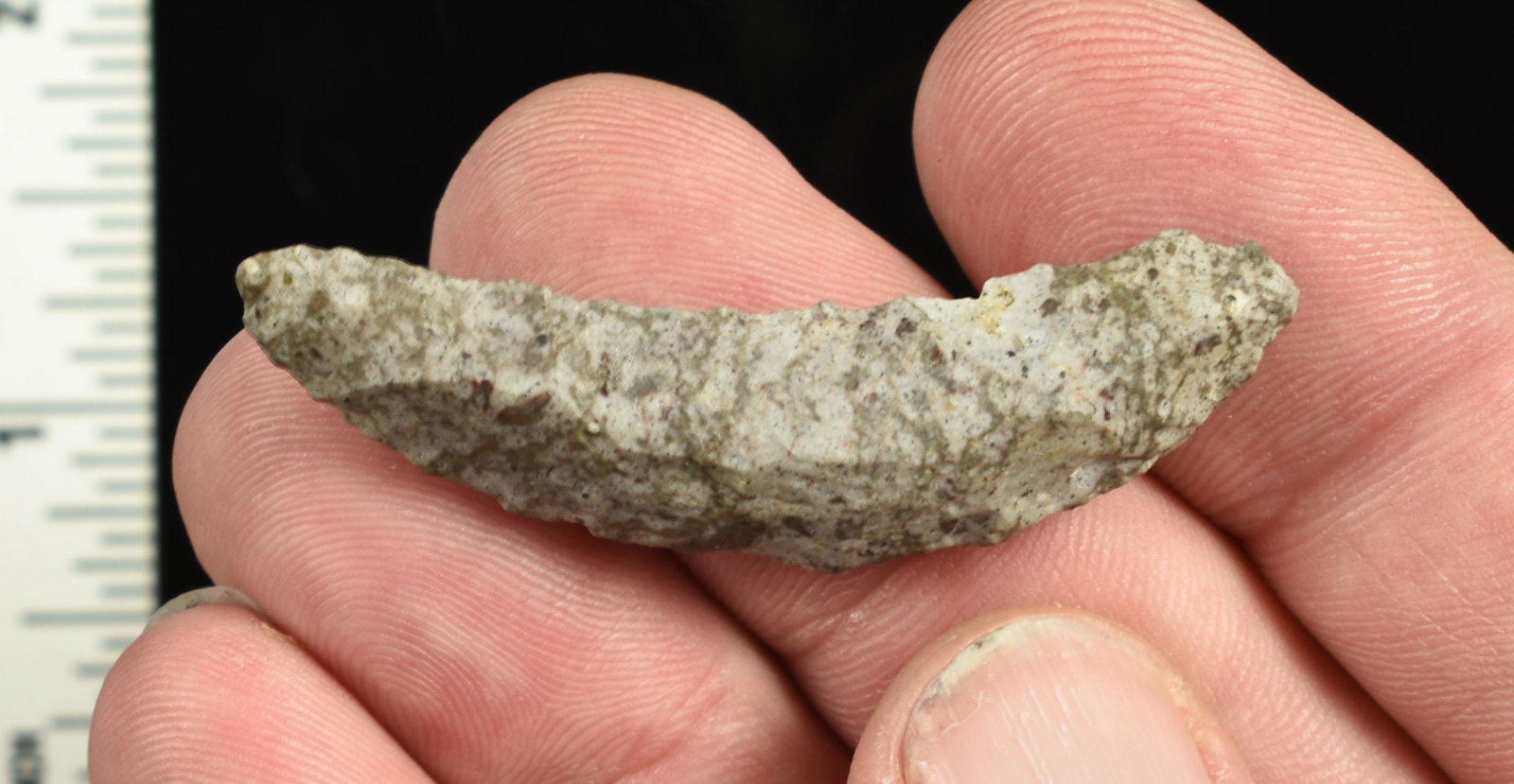 2-1/16" Paleo Crescent: Fossil Chert example. Ex Beckett Collection. Lassen Co., California.
