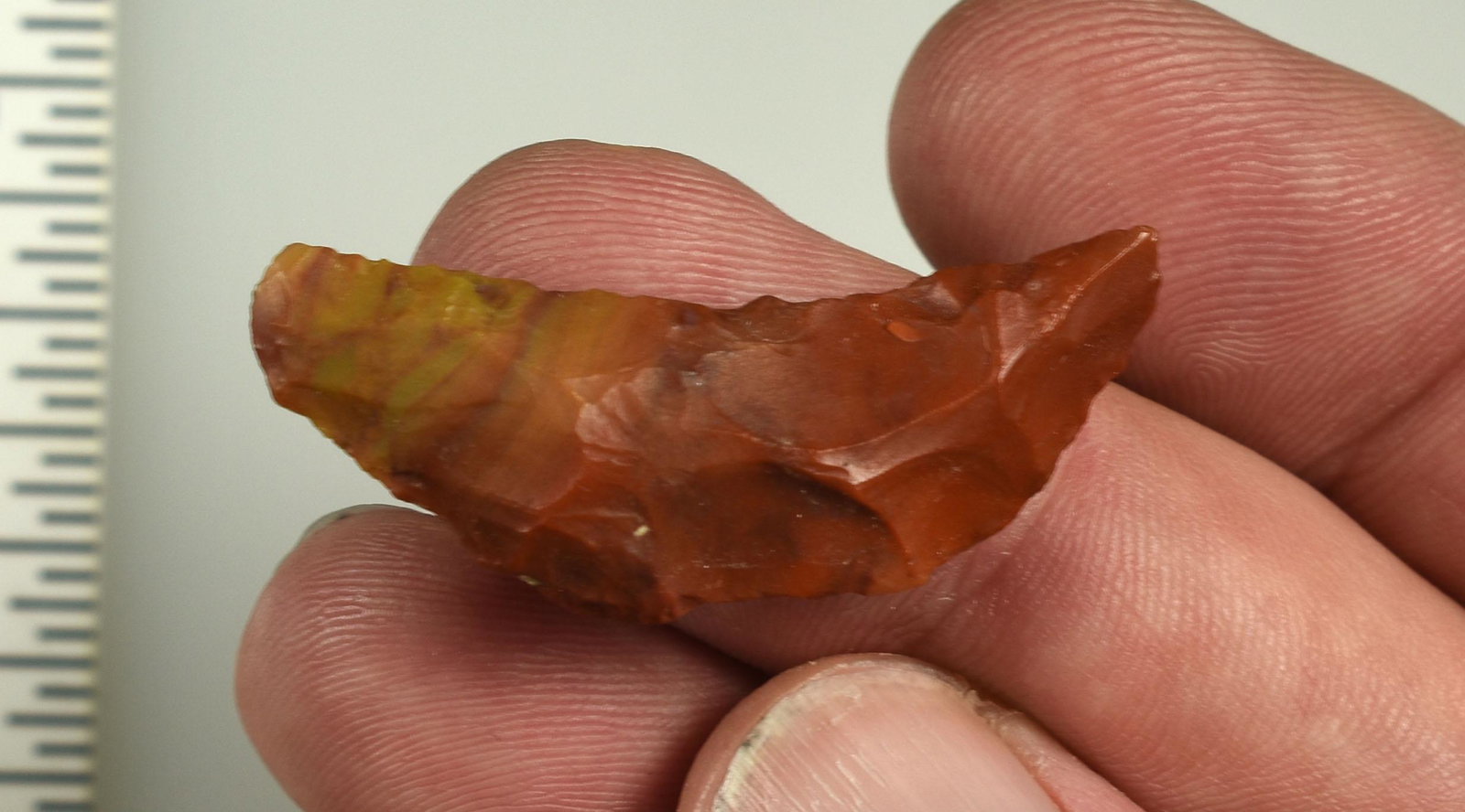 1-5/8" Paleo Crescent: Colorful Rainbow Sherbet colored Jasper piece. Ex Beckett Collection. Lassen Co., California.
