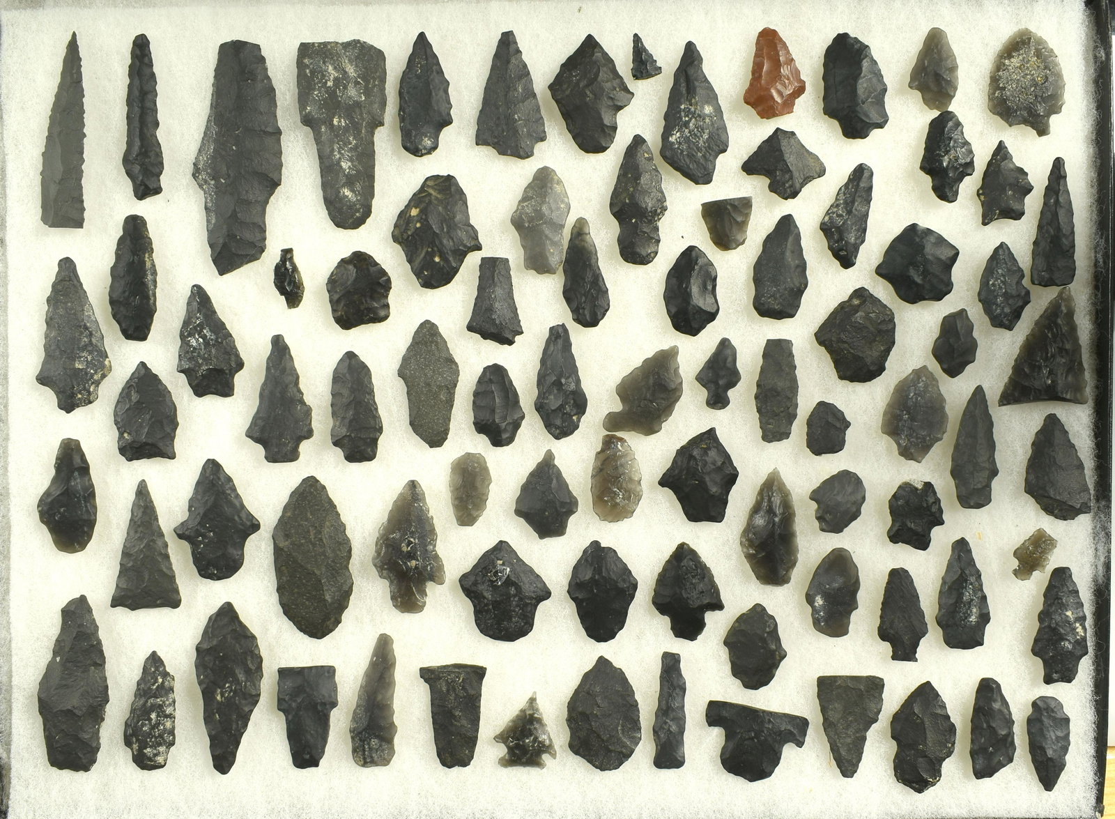 Lot of California Points and Pieces: Nice LARGE lot of whole points and study examples. Parman, Elko, some paleo styles, and others. All from Lassen Co., California. Ex Beckett Collection.