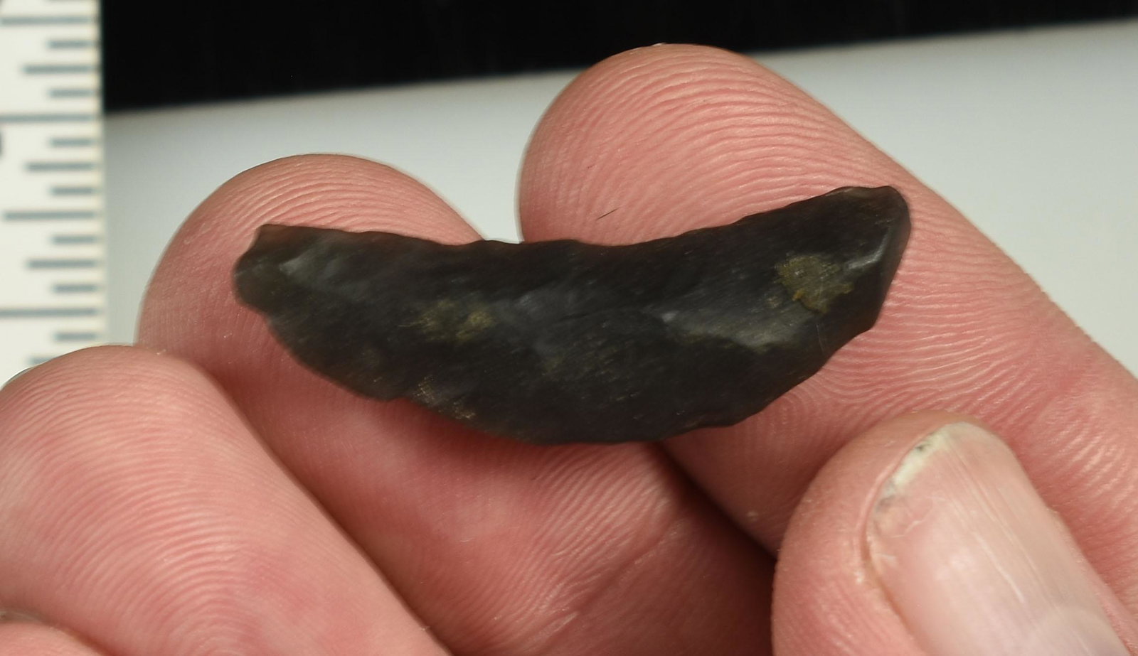 1-1/2" Obsidian Paleo Crescent: Weathered example. Ex Beckett Collection. Lassen Co., California.