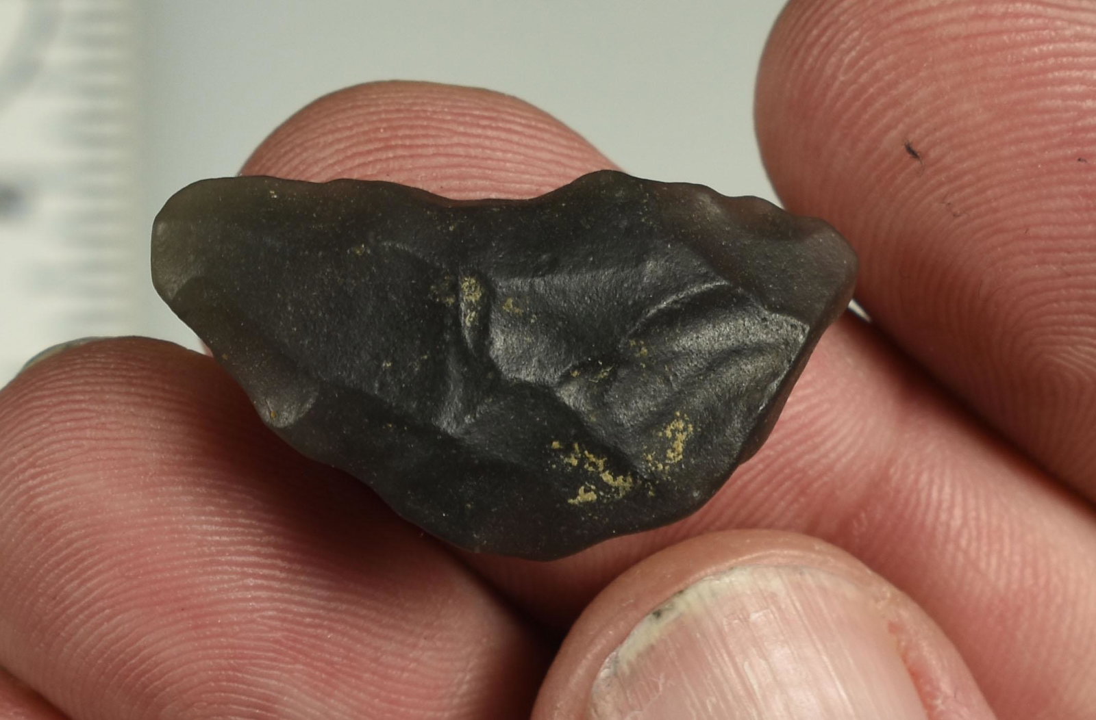 1-1/4" Obsidian Paleo Crescent: Smaller weathered example. Ex Beckett Collection. Lassen Co., California.