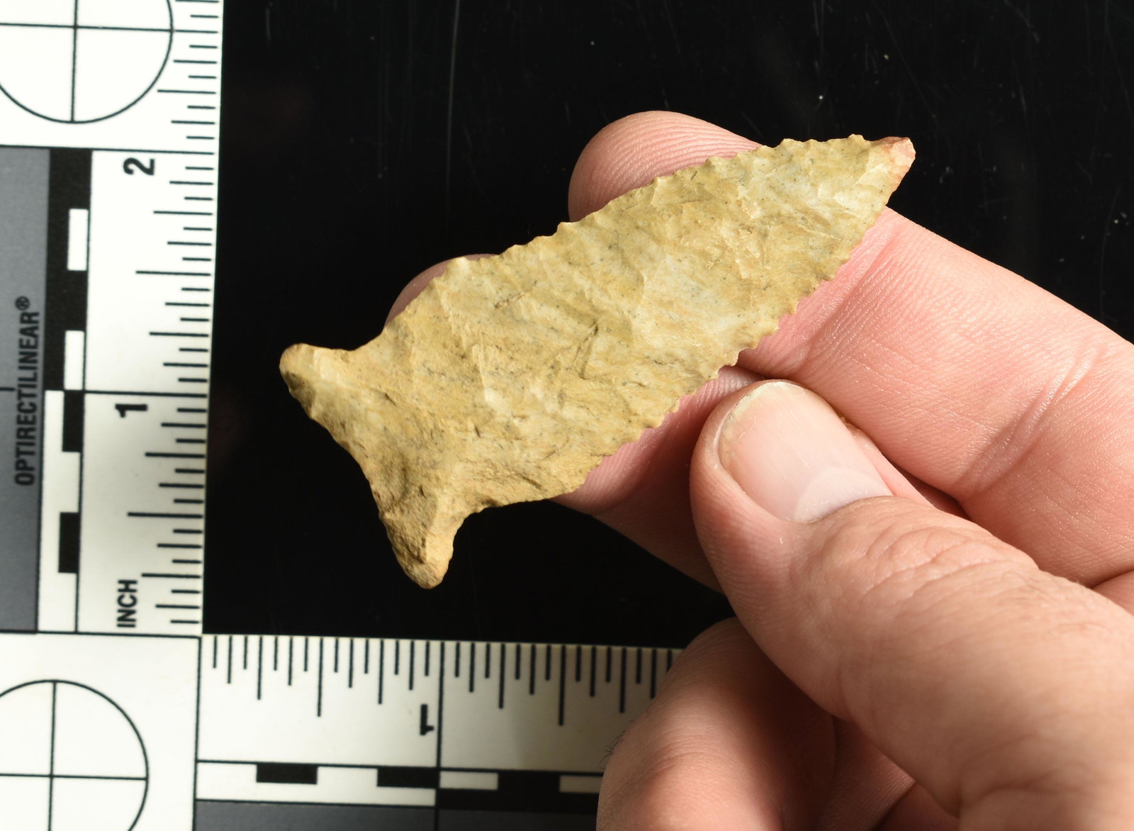 2-9/16" Greenbrier: Nice example from Trigg Co., Kentucky. Fort Payne Chert. Ex Gary Noel, Swarey Estate. Nice serrations!