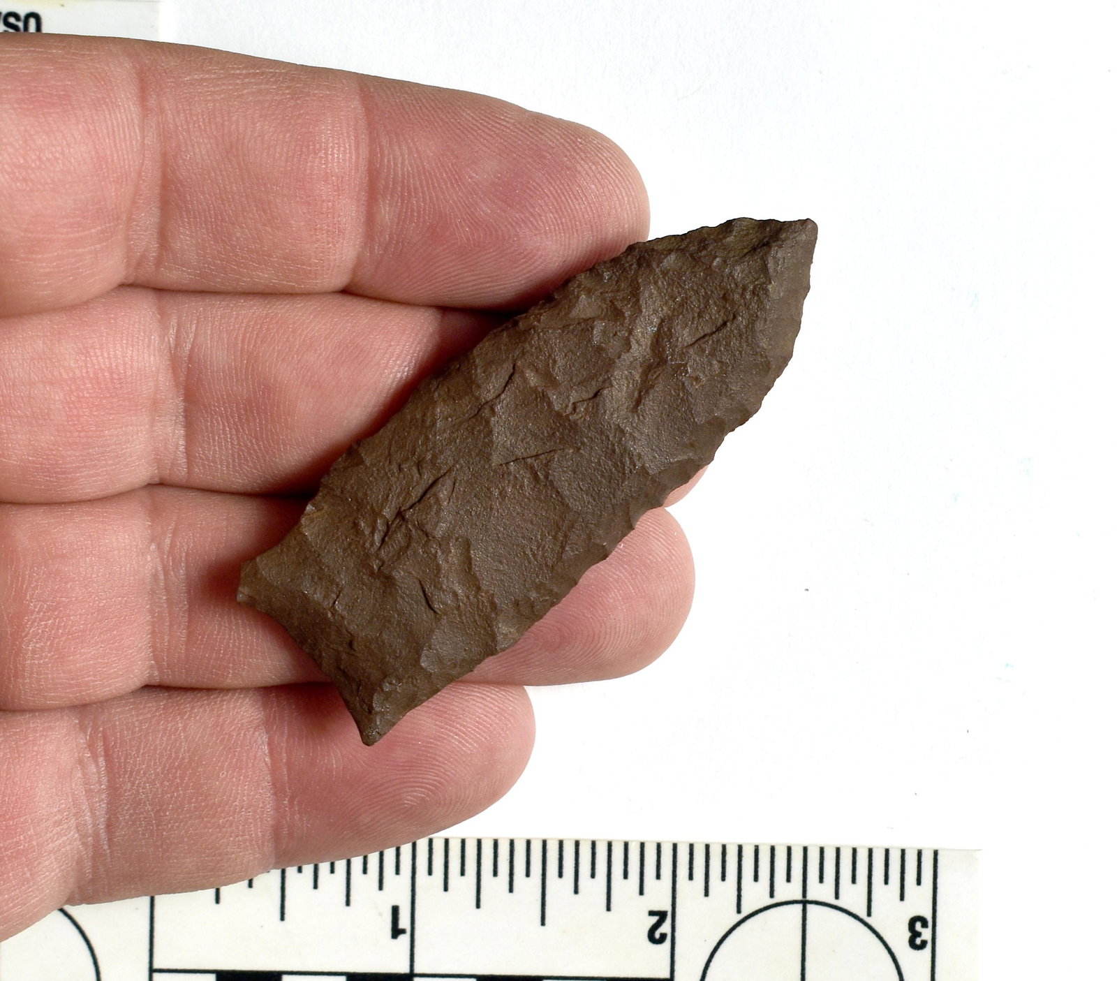 2-1/2" Cody Complex/Western Scottsbluff: Brown jasper example from Western Idaho.