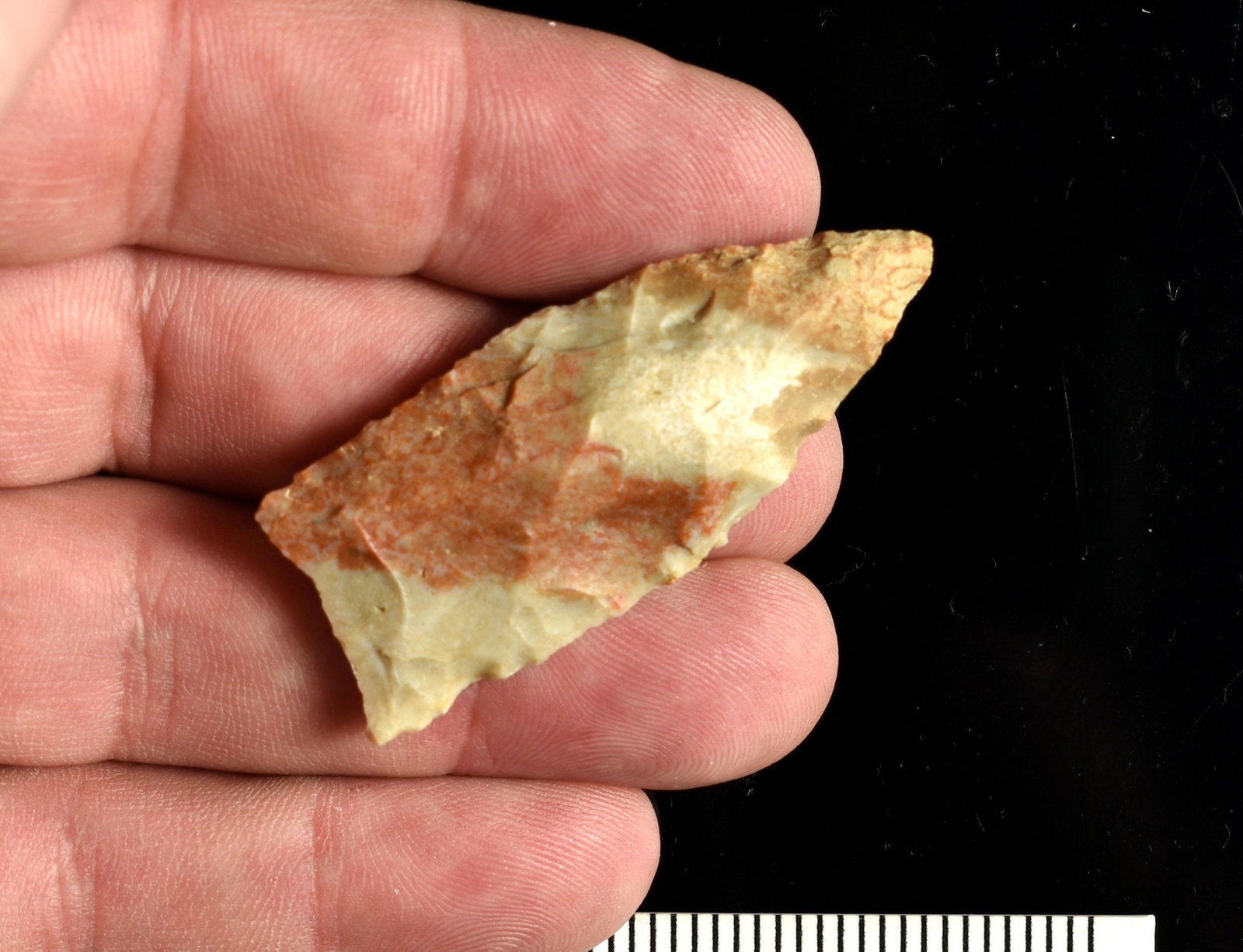 Super Colorful 2 1/8" Unfluted Clovis: Great example to collect, study, and enjoy. Nebraska.