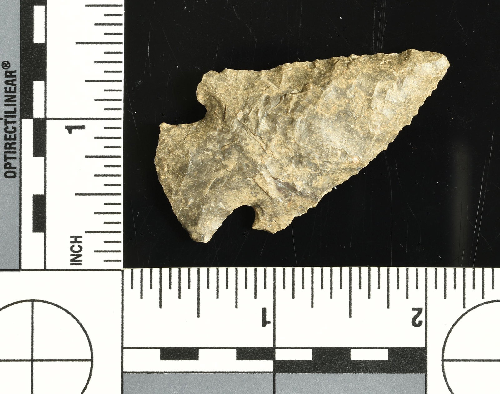 2-1/16" Lost Lake: Fossil chert example from Stewart Co., Tennessee. From the Sam Swarey Estate Collection.