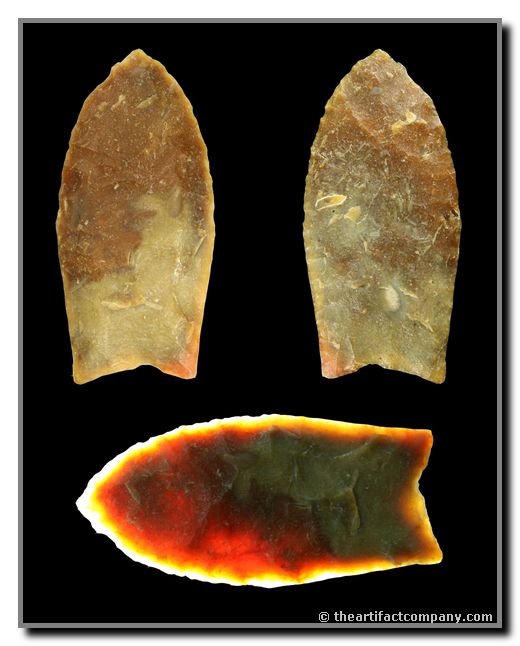 2 5/8" Bull Tongue Simpson: Found by John Swope in Ocala, Florida. Translucent High Grade Red Chert. Ex - Nelson. Davis G-10 (2006), Stermer (2009)
