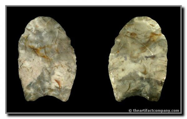 1 3/4" Hi-Lo: Monticello Co., Indiana. Attica Chert. Ex - Jonas, Nelson Collections. Jackson (2002)