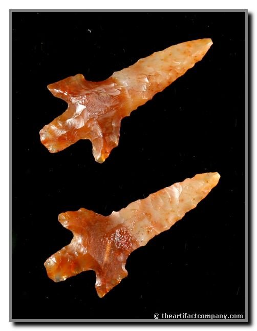 1 5/16" Gunther: Gorgeous translucent Red Agate. Ex - Thompson and Cason Collections from Lake Co., Oregon. Jackson COA.