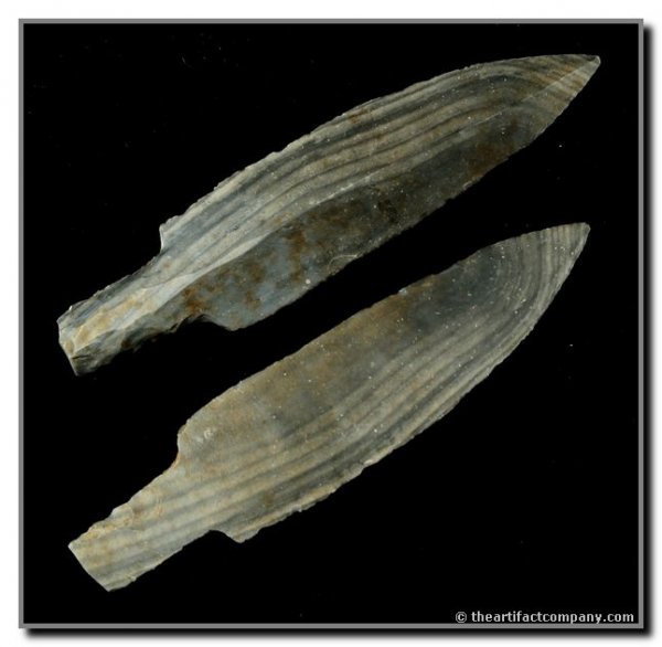 7 7/16" Mayan Macro Blade: Blue & Gray Colha Chert. Grandfathered from Belize.