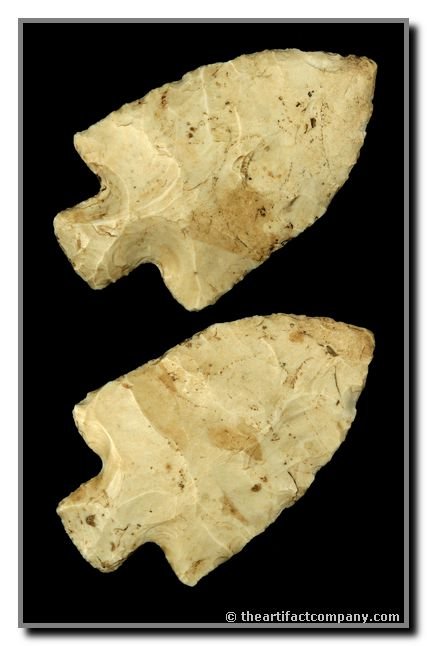 3 5/8" Adena Robbins: High grade cream chert from Ohio . Ex - Sears Collection.