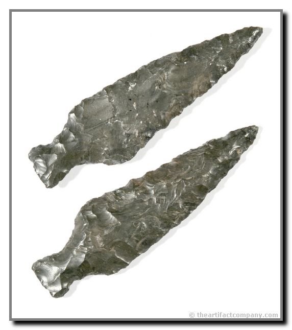 2 7/8" Godley: Kay Co., Oklahoma. Ex - Dan Fox Collection. High Grade Fossil Chert.