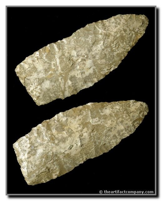 4 5/8" Cobbs Triangle: FIRST STAGE!! Beautifully mottled Fort Payne flint with near-Paleo flaking on this thin example from Central Kentucky. Ex - Webb Collection.
