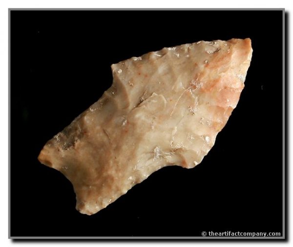080: 1 7/8" Jay: Mesa Co., Colorado. Rare early type related to Hell Gap and Rio Grande. Tan jasper.