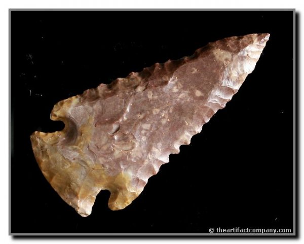 3" Pinetree INCREDIBLE: Extremely beautiful PURPLE Boyle chert example with killer serrations from Clark Co., Kentucky. Davis and Dickey COA's.