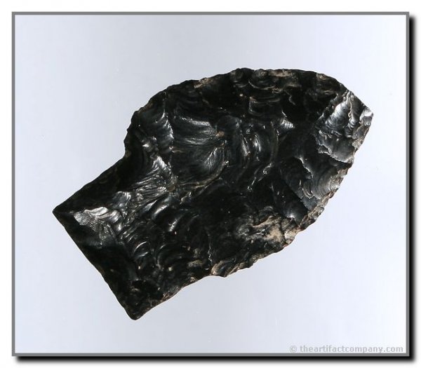 1 3/4" Western Scottsbluff: Very nice example with textbook basal configuration and Cody flaking. Harney Co., Oregon. Very rare type for the region. Obsidian.