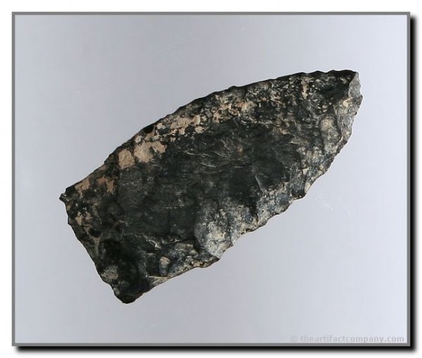 1 7/16" Cody Complex Dart: Small Cody Complex dart from Eastern Oregon made from Basalt.