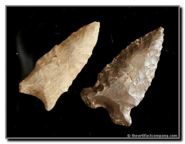 Pair of Archaic Darts: Nice Set of Archaic pieces from Central KY. Ex - Webb Collection.