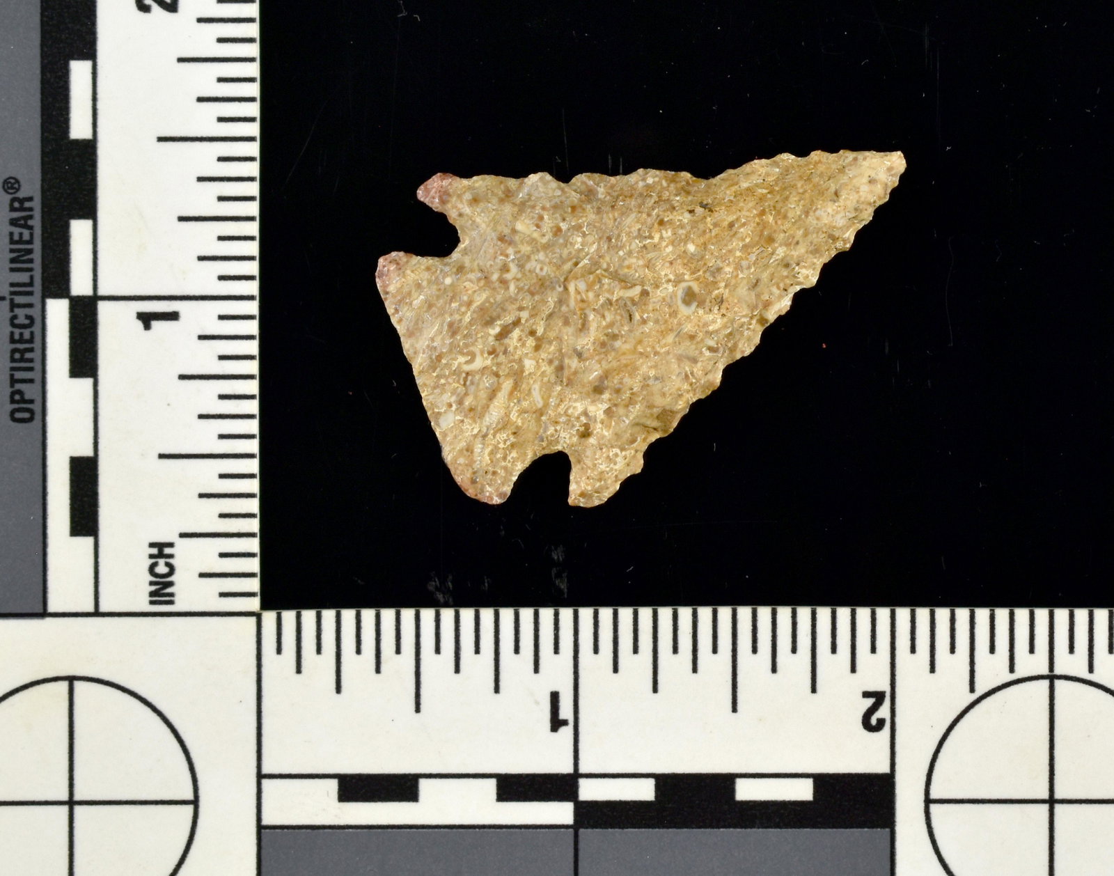 1-11/16" Palmer: Very nice serrated example from Clark Co., Indiana. Harrodsburg Fossil chert. Ex Lands Collection.