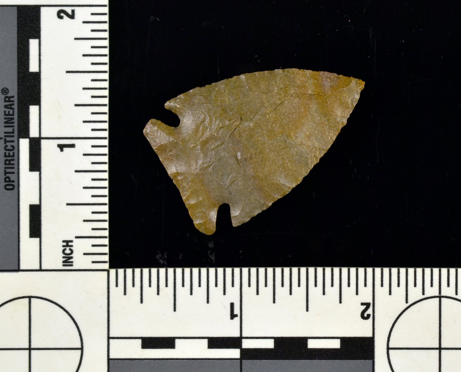 1-11/16" G-10 Instrusive Mound: Excellent brown fossil chert example from the Lands Collection. Clark Co., Indiana. G-10 with no flaws.