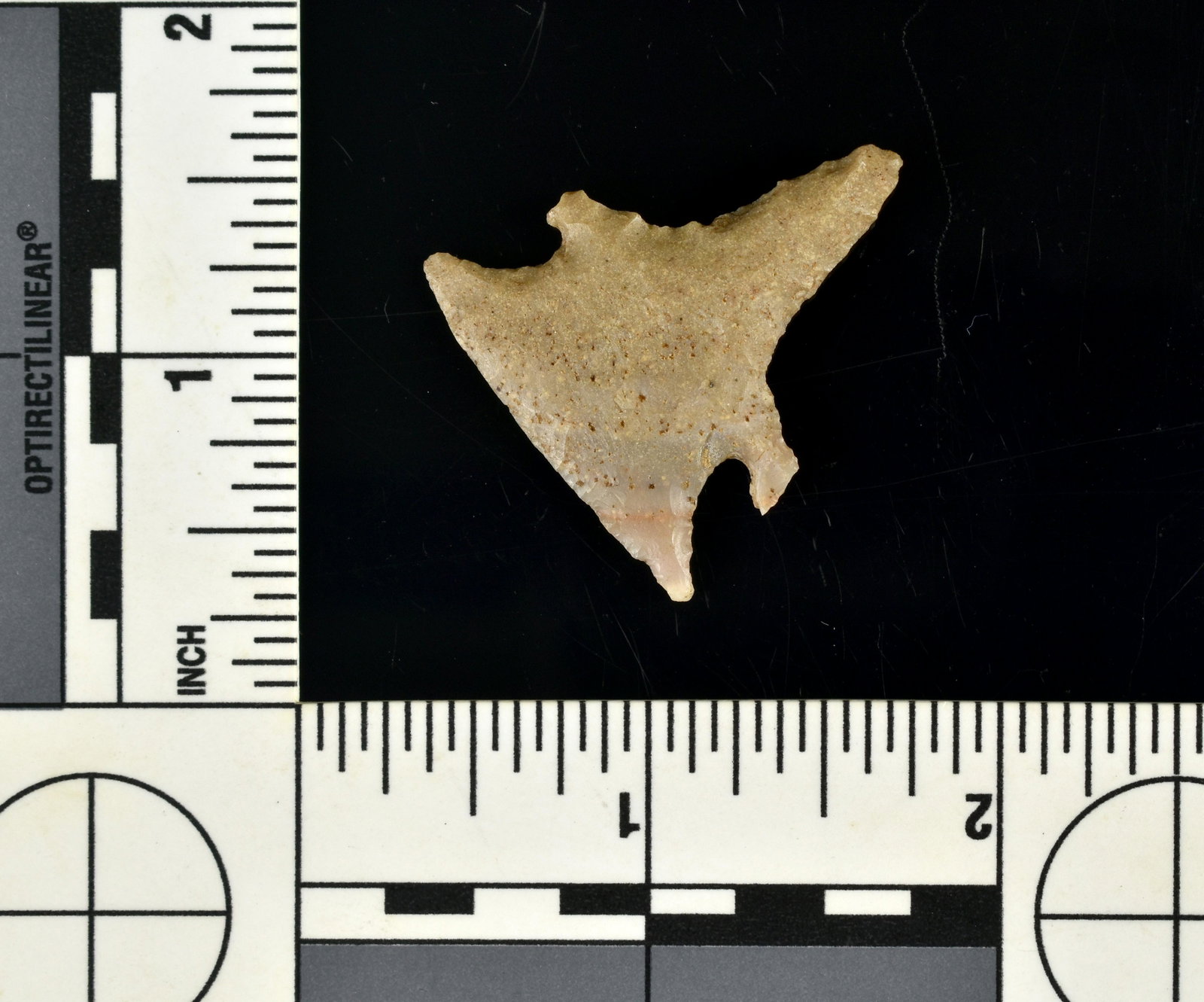1 3/8" Carter Cave Pinetree Drill: Rare example. Looks like a bird in flight. Made out of high grade Carter Cave flint with great translucency. Found in Bath Co., Kenrucky. Ex- Richard White Collection.