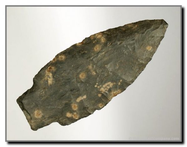 029: 4" Alberta: Found near Yuma, Colorado. Ex - Virgil Russell Collection. Black chert. Rogers COA (as Archaic Stemmed Point)