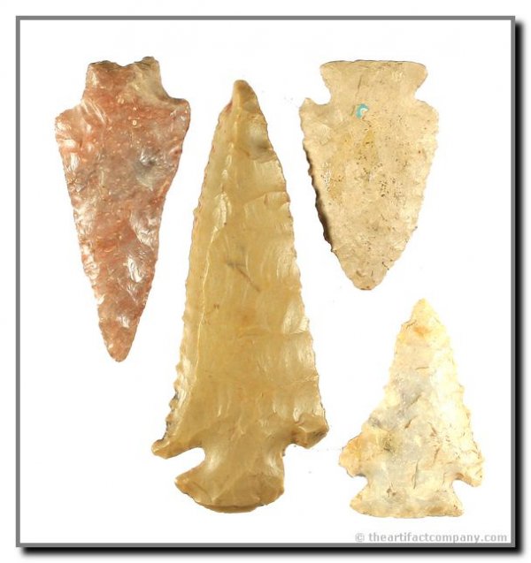 Set of 4 Archaic Points: Large Dovetail, Pinetrees, and Kirk represented in this set. Blue Licks area of Robertson Co., Kentucky. Ex - Brooks Family Collection