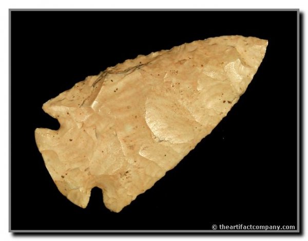 3 1/16" Dovetail: St. Clair Co., Illinois. Burlington. Ex - Steve Repp, B. Miller Collections. Motley COA