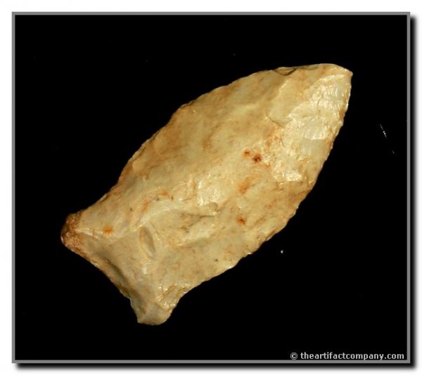 1 5/8" Beaver Lake: Scott Co., Kentucky. Hornstone. Cox COA.