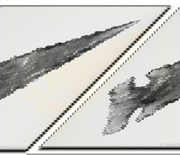 2 3/16" Northern Side Notch: Stunning G-10 example in 'Ice' Obsidian from Klamath Co., Oregon. Ex - Bodle Collection. Museum Grade. Jackson COA.