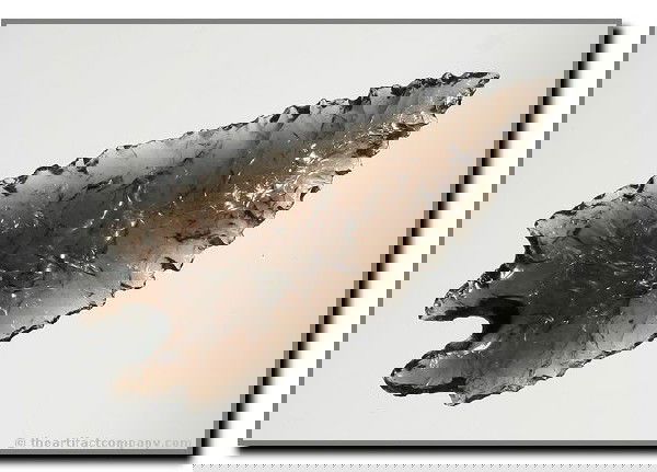 2 5/8" Pinto Basin: Near-optical grade Obsidian beauty found on the Dennis Ranch in a hay field on the North end of Crump Lake, Oregon. Ex - Akers Collection.