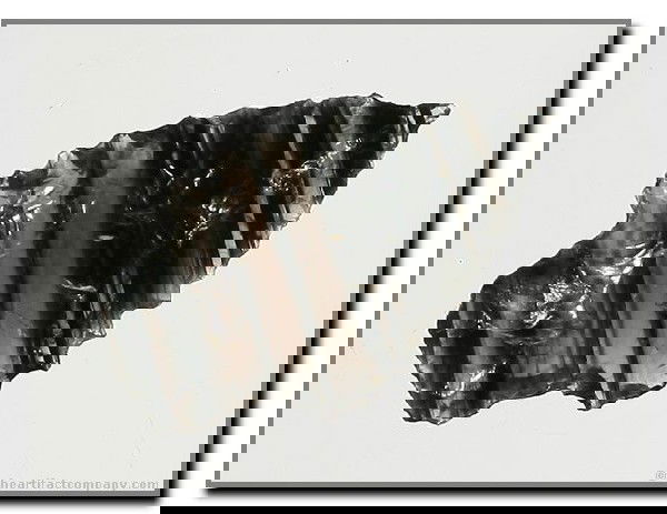 1 3/8" Stemmed Dart: STRIKING banding in this piece of clear Obsidian. Klamath Co., Oregon. Ex - Bodle Collection.