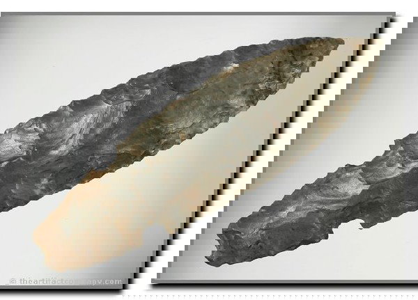 4 11/16" Turkeytail: Interesting Southern Variant with Cotaco Creek Traits. McCreary Co., Kentucky. Ft. Payne Chert. Ex - Ball Collection. Dickey COA.