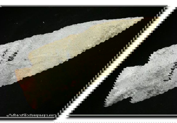 4 1/4" Etley: Lincoln Co., Missouri. Nicely river polished example in Jefferson City Chert.