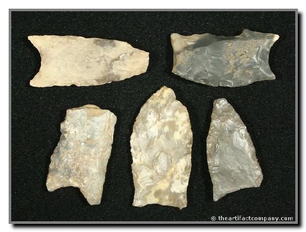 5 Super Paleo Bases: Clovis, Wheeler, Beaver Lake examples from Kentucky. Nice set!