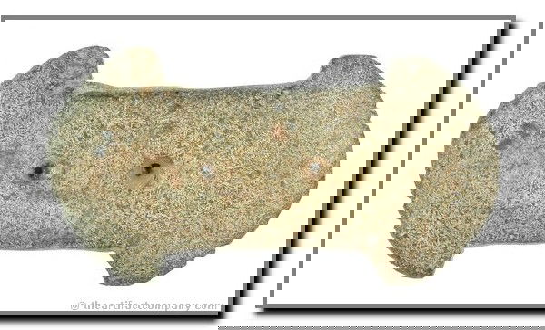 3 5/16" Tallied Constricted Center Gorget: Nice rare example in hardstone. Ohio. Stermer COA.