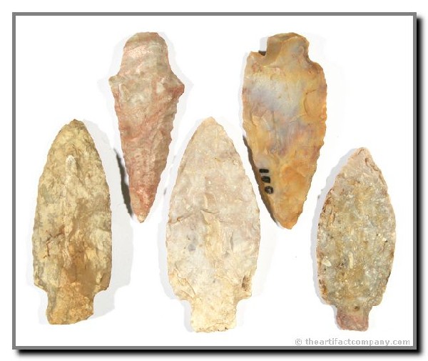 5 Colorful Adenas: Excellent color in this assortment of Boyle Chert. Central KY Ex - Webb.