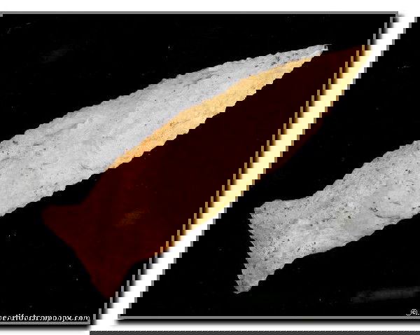 060: 3 1/8" Greenbrier: Nicely serrated example from a White Bluff, Tennessee estate. Camden Chert. Jackson COA.