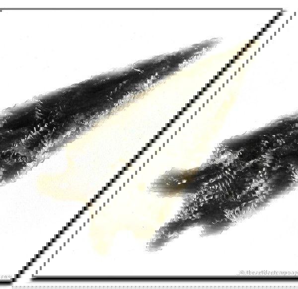 080: 1 5/8" Elko Split Stem: Klamath Co., Oregon. Ex - Bodle Collection. Obsidian.
