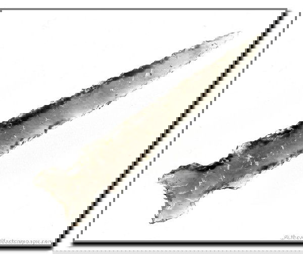 087: 2 1/2" Northern Side Notch: Warner Valley, Lake Co., Oregon. Highly translucent obsidian.