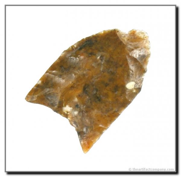 1" Folsom: Fluted to the Tip example found by George Green at the Tin Camp Ranch in Lincoln Co., Nebraska. Orange dendritic chalcedony. Interesting translucence.