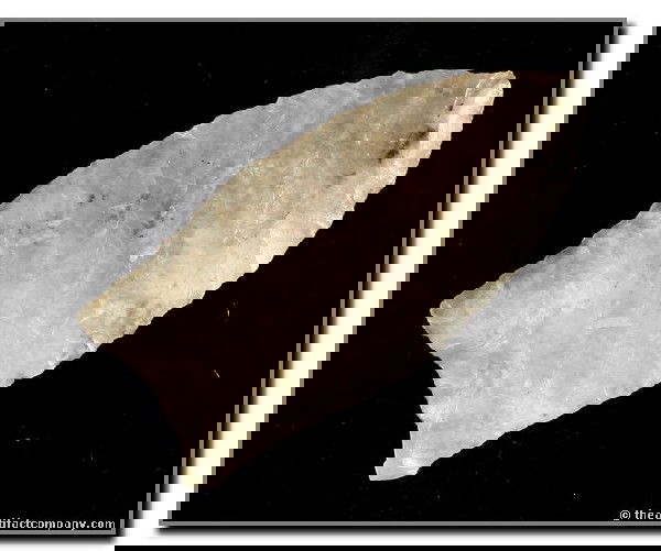 2 1/16" Goshen: Textbook example with fine oblique flaking found by George Green on the Tin Camp Ranch in Lincoln Co., Nebraska. Totally translucent and RARE! Jackson COA.