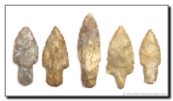 5 Nice KY Adenas: Collector grouping of examples from Central Kentucky mostly in Boyle flint. Good buy.