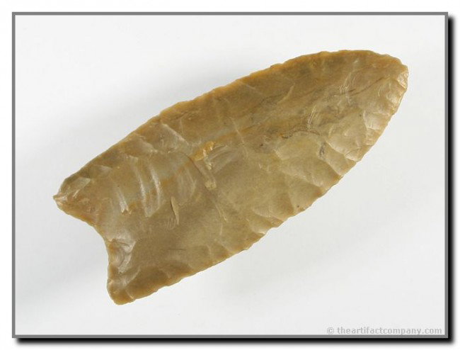 006: 2 13/16" Clovis: Well fluted example from Jackson Co., Missouri. Ex - Terry Allen Collection.