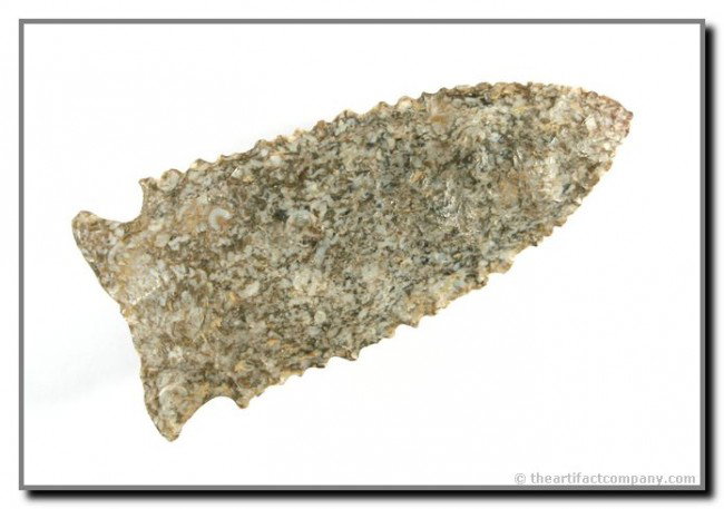 016: 2 7/8" Stilwell: Pretty multicolored Harrodsburg chert. Terrific minute serrations. Hart Co., Kentucky. Ex- Terry Allen Collection. Davis G-10 COA.