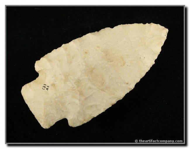 039: 3 5/8" Scottsbluff: Very thin and well made with distinctive Cody flaking. Cream colored Burlington. Warren Co., Missouri. Ex- Jim Crawford and Terry Allen Collections. Rogers COA.