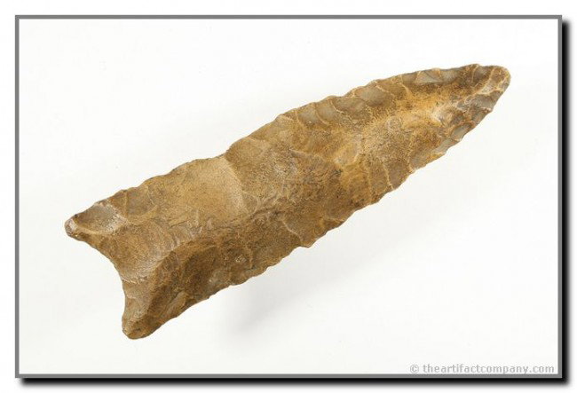047: 3 1/2" Dalton: River stained chert example from Missouri. Ex - Terry Allen Collection