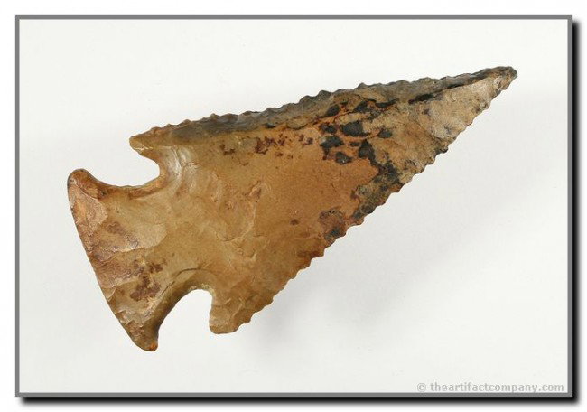 058: 2 15/16" Lost Lake: Killer well-mineralized example in Fort Payne chert. Tennessee. Ex - Terry Allen Collection.