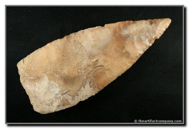 069: 5" Friday: Ultra thin and made of a very pretty mottled chert. Found in Uvalde Co., Texas. Ex- Troy Green and Terry Allen Collections. Rogers COA.