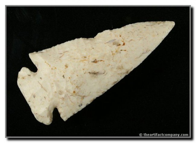 3 13/16" Dovetail: Scott Co., Illinois. Burlington. Well flaked with a gradual twist. Ex - Terry Allen Collection.