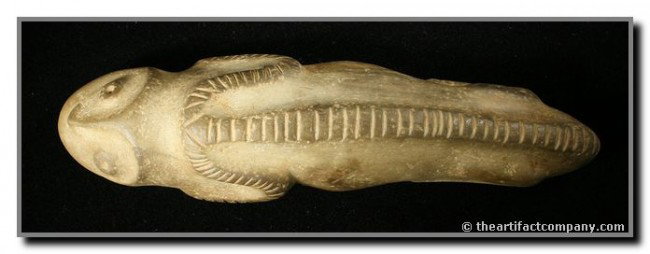 8 7/8" Taino Alligator Zemi: Incredibly rare object made in a dense green hardstone. Effigy form of a lizard or Alligator. Rather unique provenance as it was traded far from place of origin.